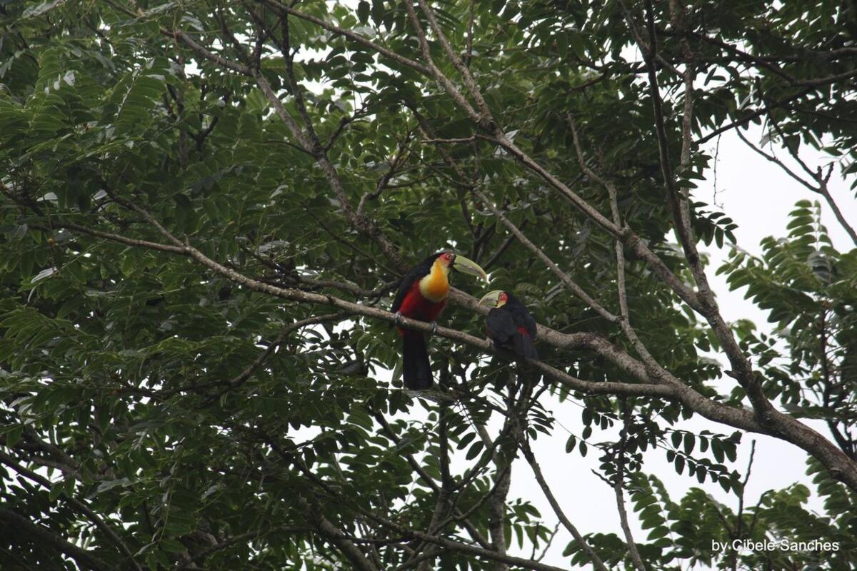 Sitio Em Bc- So 2km Da - Perto De Casa de férias Balneario Camboriu