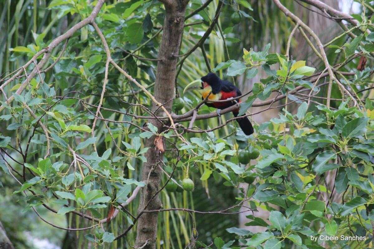 Casa de férias Sitio Em Bc- So 2km Da - Perto De Balneario Camboriu