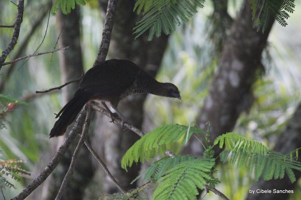 Casa de férias Sitio Em Bc- So 2km Da - Perto De Balneario Camboriu