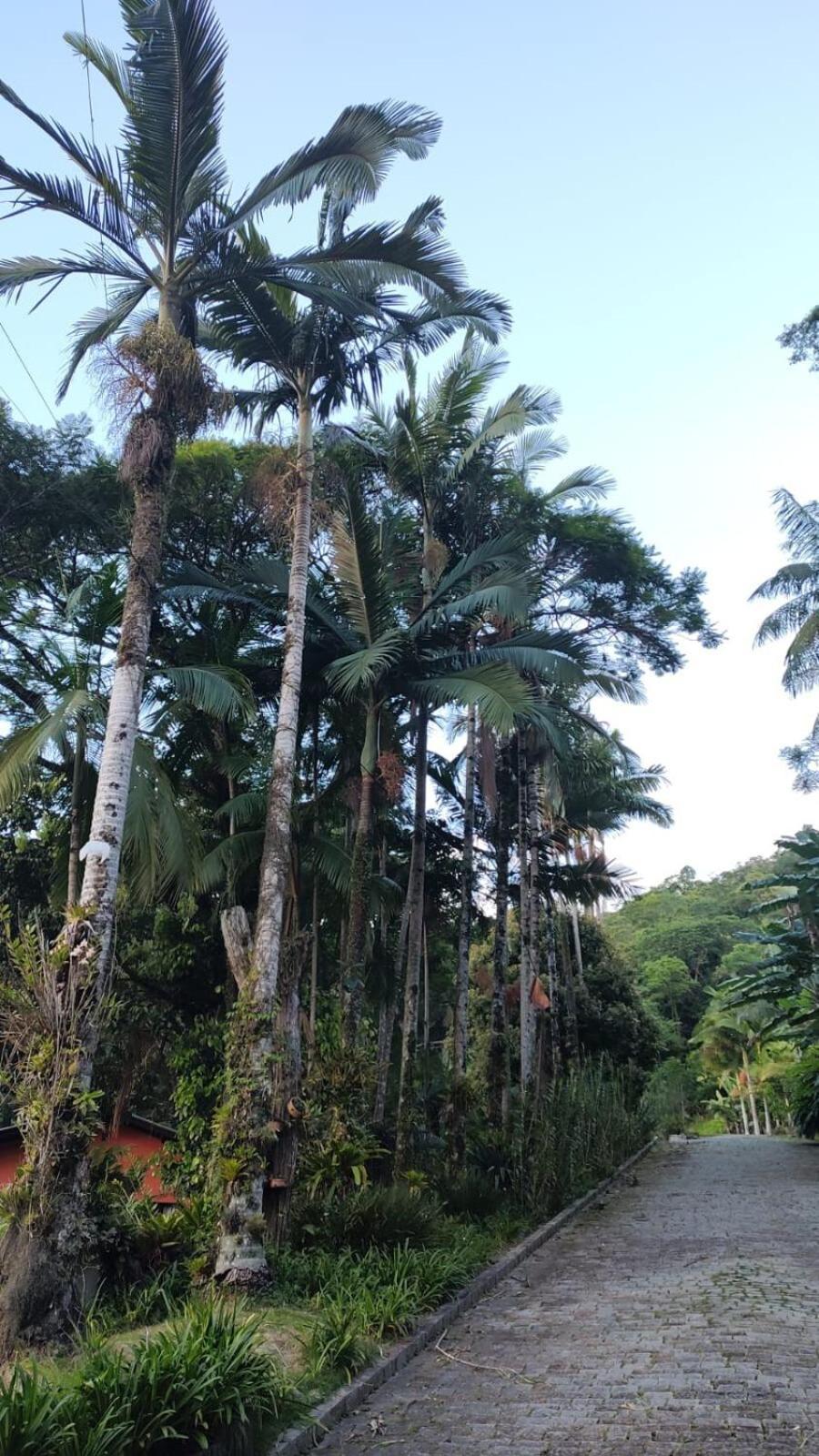 Sitio Em Bc- So 2km Da - Perto De Casa de férias *